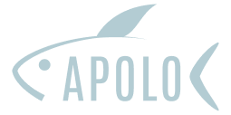 Apolo